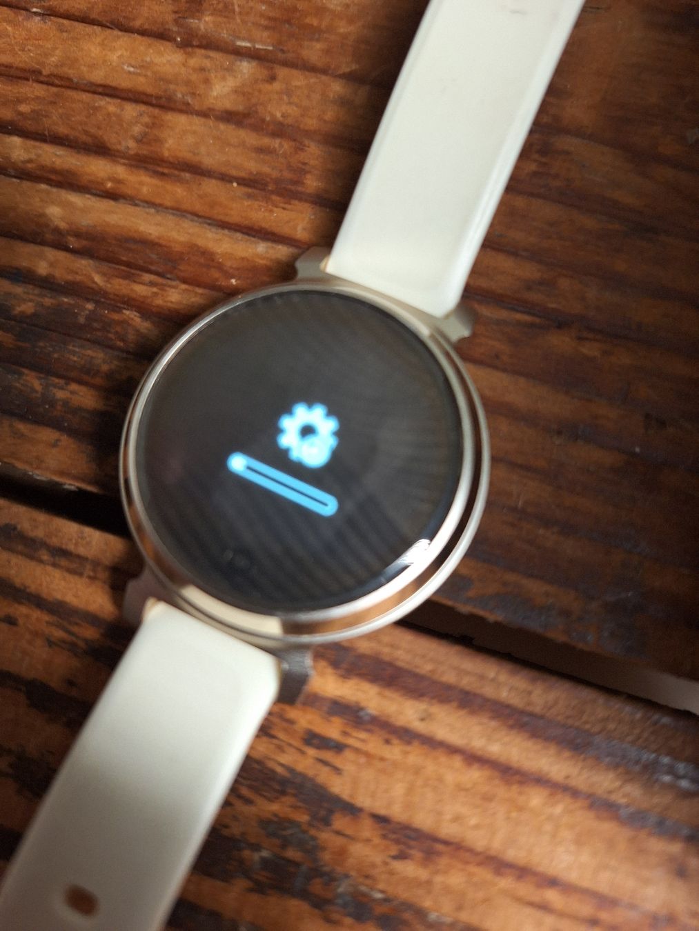 Garmin Smartwatch: Garmin Lilly 2 – Gebraucht aus Solothurn von Dominic.von