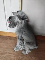 Zwerg Schnauzer Hund