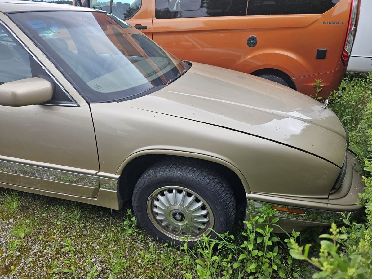 Buick Automobili: Buick Regal – Usato da Zollikofen venduto da nha_825x 6