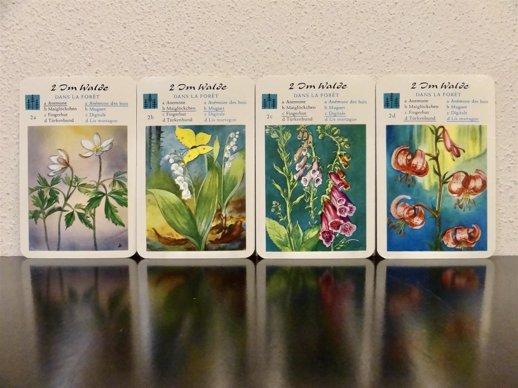 Spiele: altes Quartett BLUMEN-QUARTETT BLUMEN – Gebraucht aus Kerzers von wisaundso 4