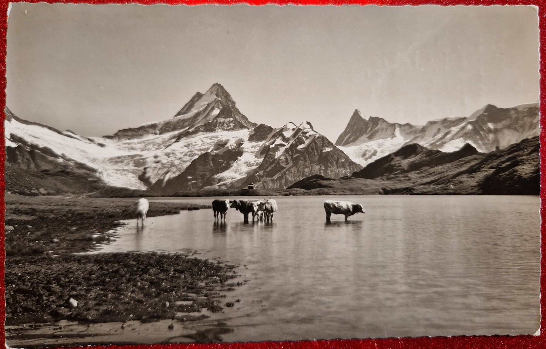 Cartoline postali: Bachalpsee 1937 – Usato da Melchnau venduto da Fishel
