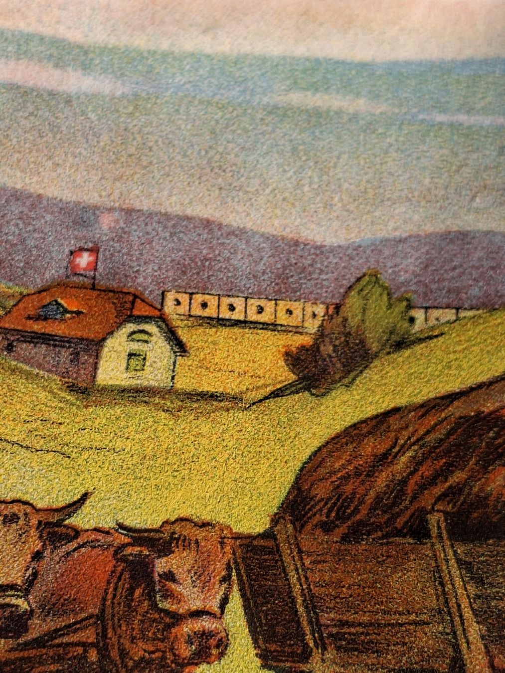 Dokumente: Landwirtschafts Proschüre um 1925 Superphosphat – Gebraucht aus Ganterschwil von HeidiuPeter 3