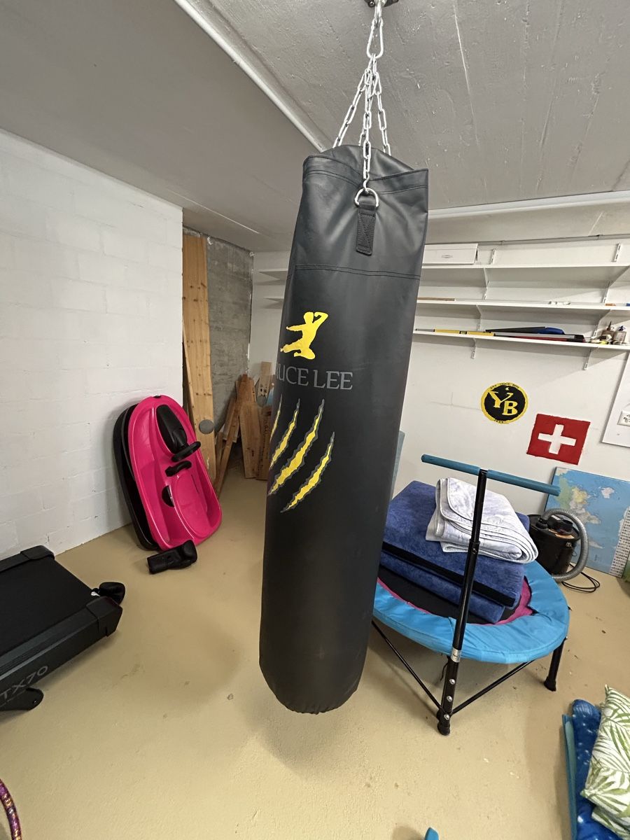 Sacchi da boxe: Boxsack Bruce Lee – Usato da Wohlen b. Bern venduto da Honeypie 1