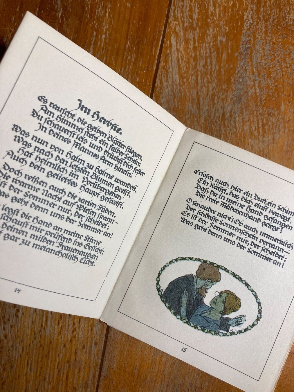 Libri: Buch Storm Gedichte illustré vintage – Usato da St-Cierges venduto da LeRegain 6