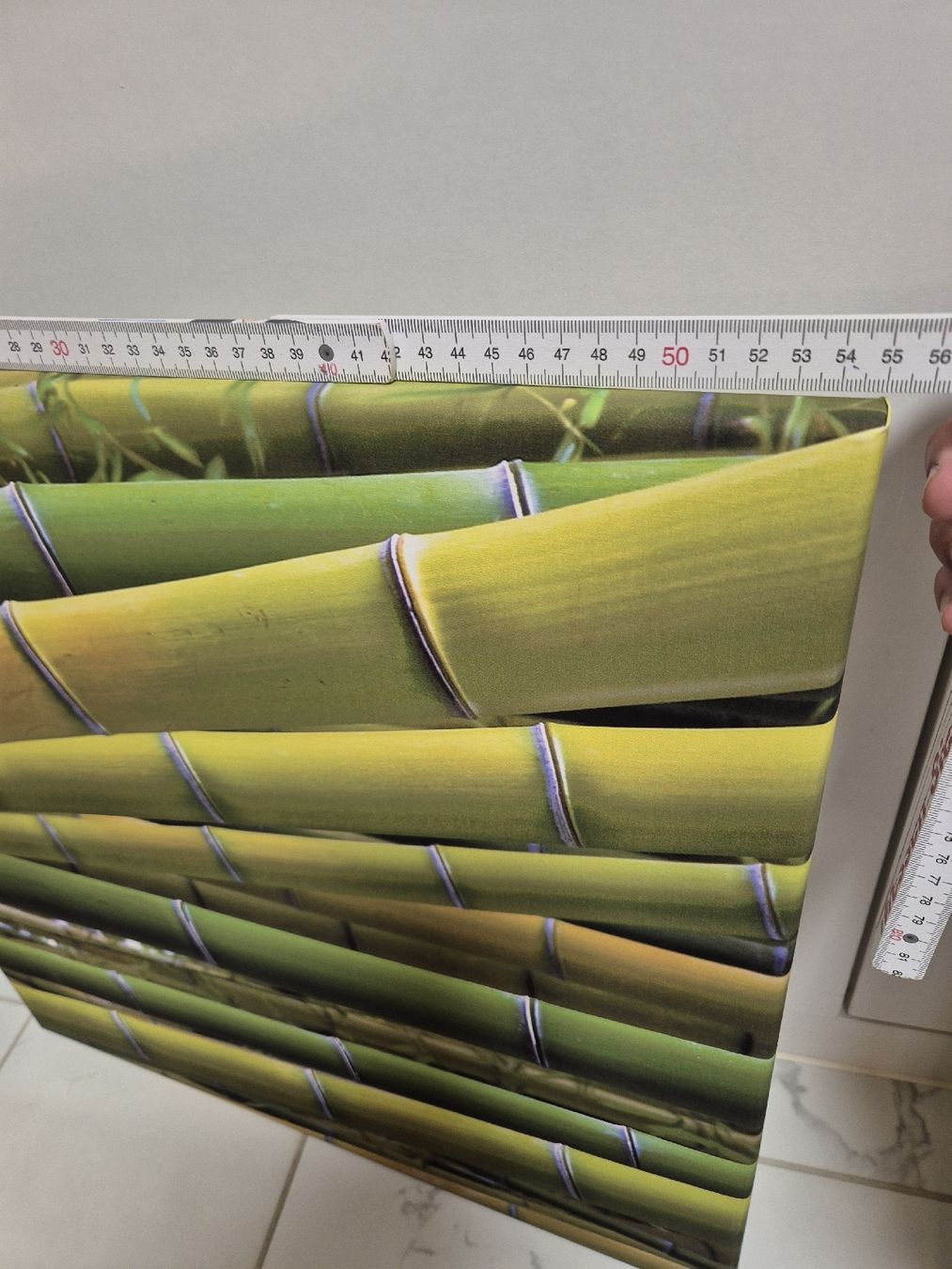 Poster & Bilder: Bambus Biler 3er Set Leinwand – Gebraucht aus Krauchthal von SamsPuce 4