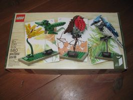 21301 Lego Ideas Nr. 9 Birds - SELTEN - Lego Vögel