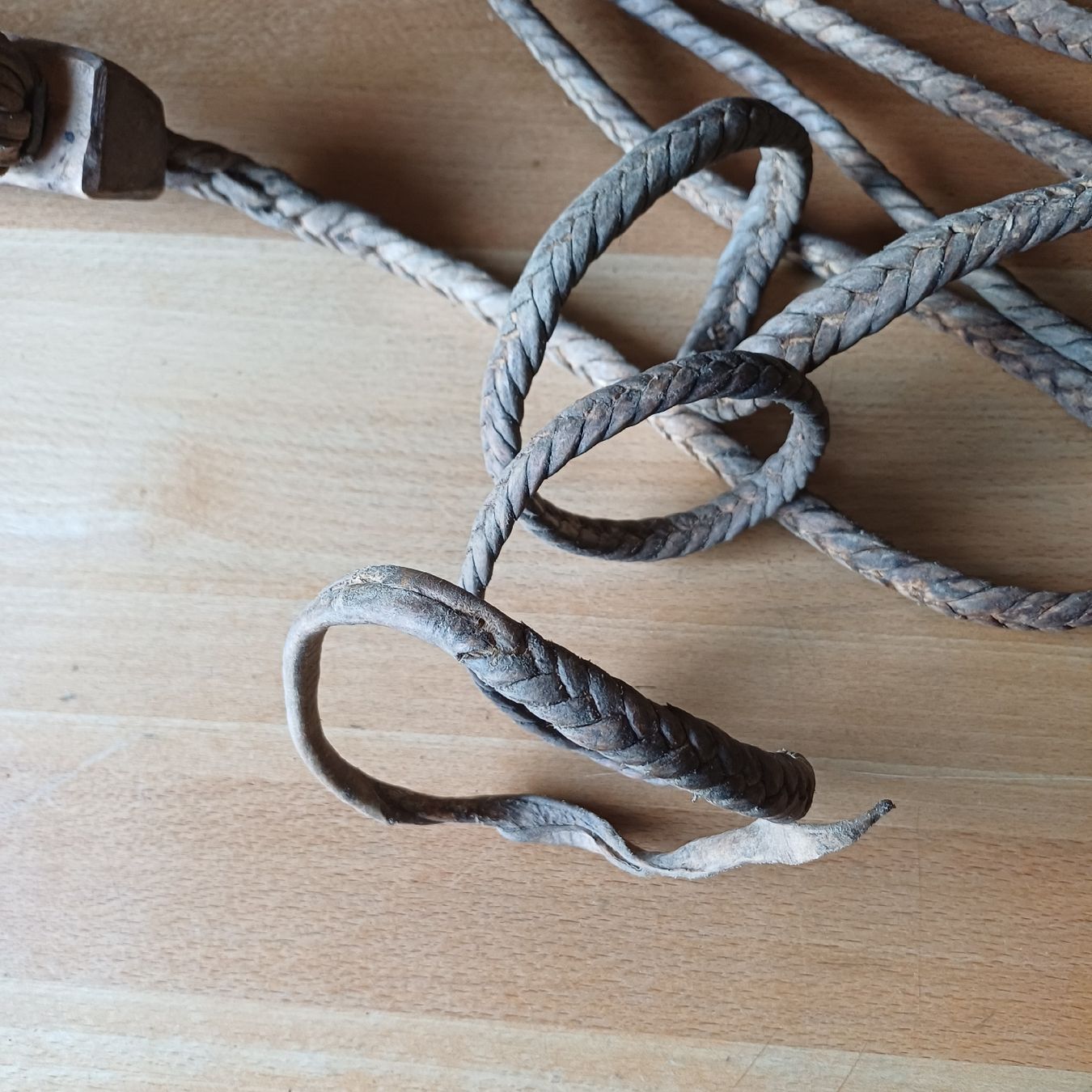 Corde: Heuseil aus Kuhhaut geflochten – Usato da Trimmis venduto da grrose 4