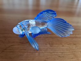 Swarovski Figur Schleierkampffisch Originalverpackt