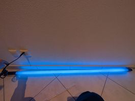 Tube neon bleu fluo 165cm avec interrupteur