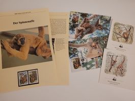 Brasilien WWF Sonderserie Spinnenaffe