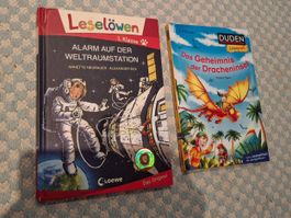 2x Kinderbücher 1. Klasse - Leselöwen & Duden Leseprofi