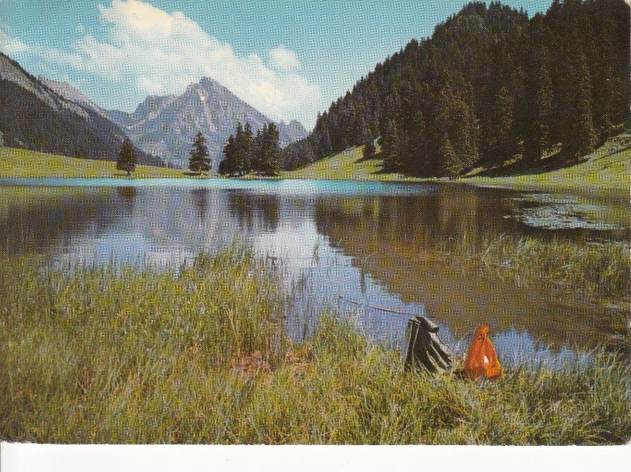 Cartoline postali: Gräppelensee 1960 – Usato da Bürglen TG venduto da StampGraf
