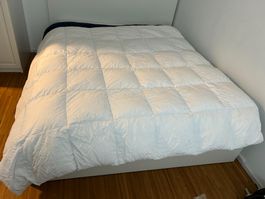 Hochwertiges kuschliges Daunen Duvet 200 × 210 cm AntiGuard