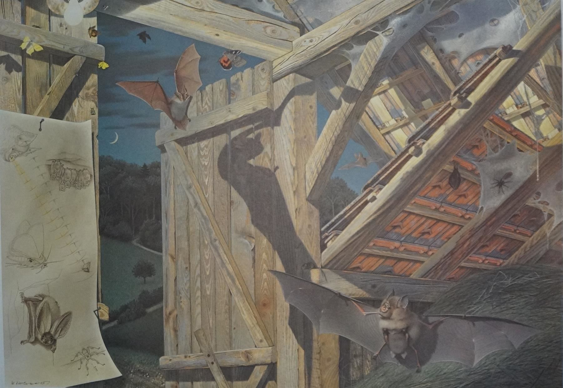 Poster & Bilder: Schulwandbild "Fledermäuse" Linsenmaier Fledermaus B= %%%%%% – Gebraucht aus Härkingen von sammelbecken