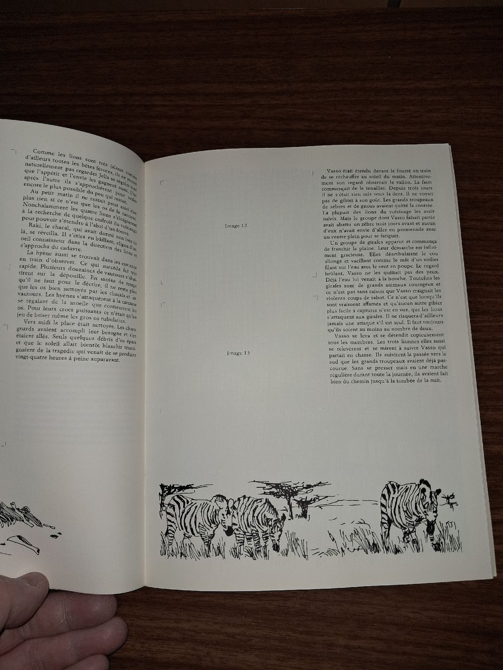 Libri: Excursions chez les lions – Usato da Le locle venduto da juliensaran 2