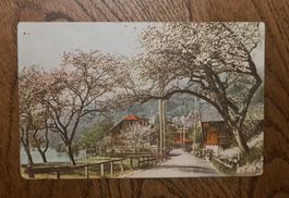 nachkolerierte Karte, wahrscheinlich am Brienzersee 1908m
