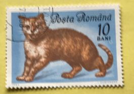 Briefmarken aus Rumänien gestempelt  Siehe Original Fotos. 