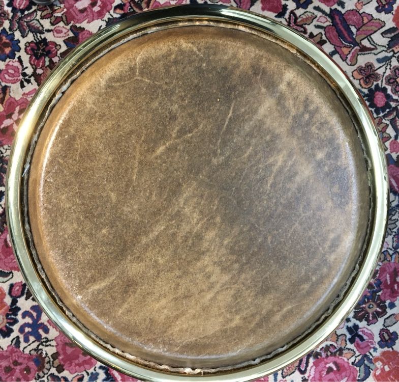 LP Congas Accent Tribal Kaufen auf Ricardo