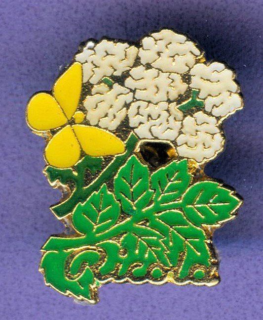 Placchette & Badge: Ricola   Pimple – Usato da Winterthur venduto da Sammleroase