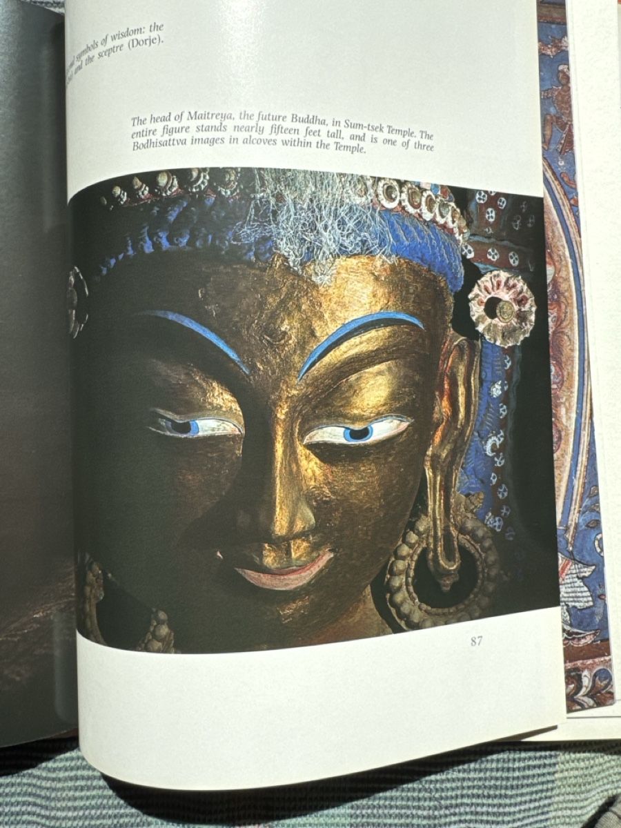 Libri: Ladakh - Between Earth and Sky, Wahid, Storm – Usato da Eschenz venduto da Belladog 8