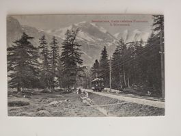 Berninabahn Partie zw. Pontresina & Morteratsch um ca. 1910