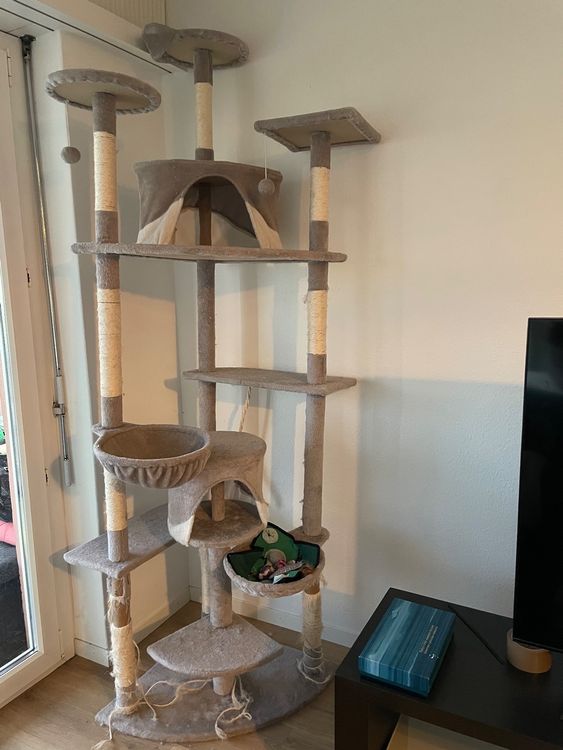 Katzenbaum Kaufen auf Ricardo