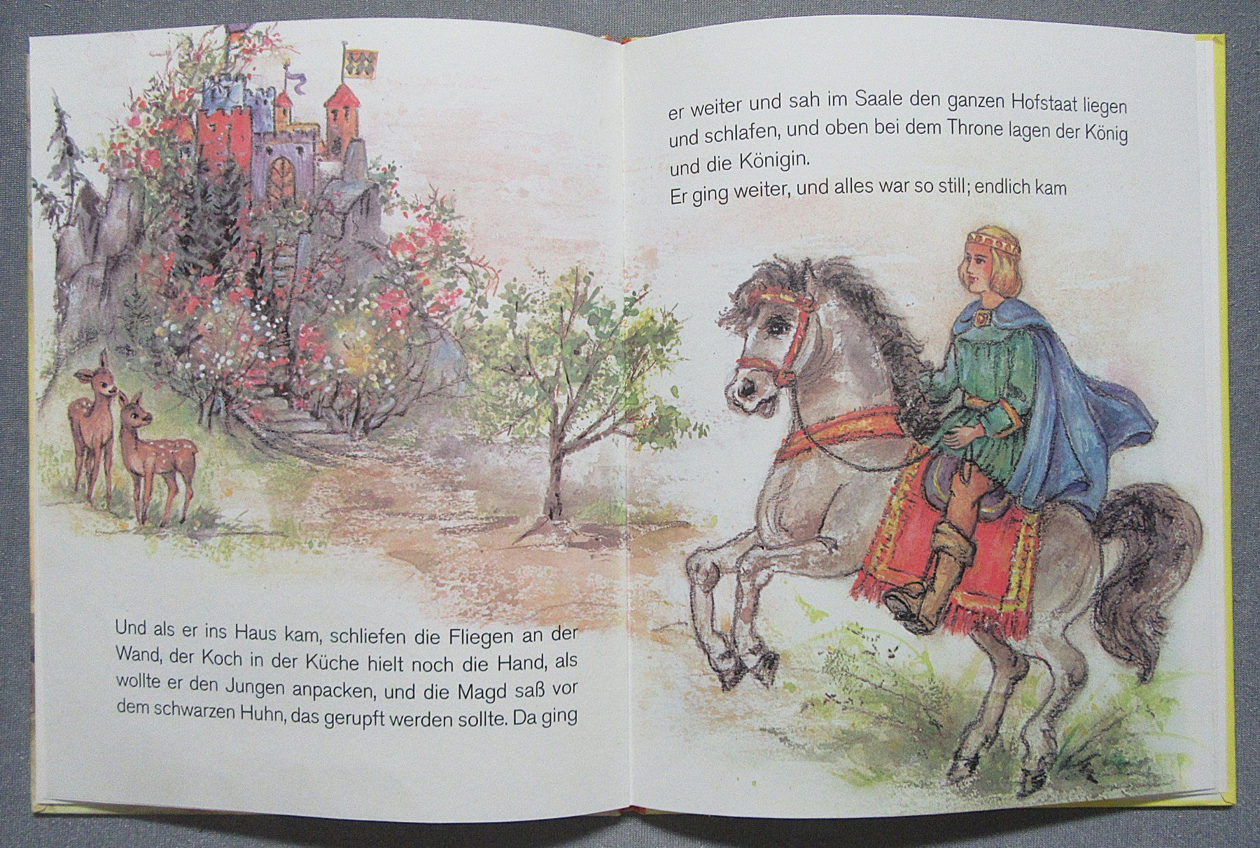 Libri: Dornröschen - mit Bildern von Lore Hummel – Usato da Auenstein venduto da Padabimbim 5