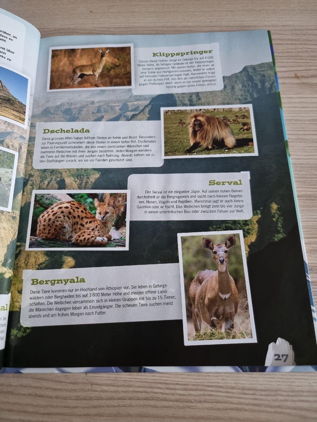 Libri: Lilibiggs Mountain Mania Abenteuer Bergwelt – Usato da Luzern venduto da Luzern_Energy 3