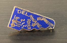 USA - Delaware Anstecknadel - Vitage ca. 1980