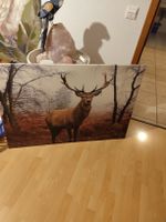 Hirschbild