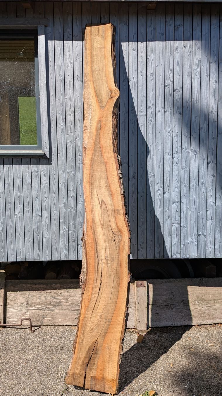 Articoli in legno: Nussbaumbrett  – Nuovo (secondo la descrizione) da Wattwil venduto da Woodbender 2