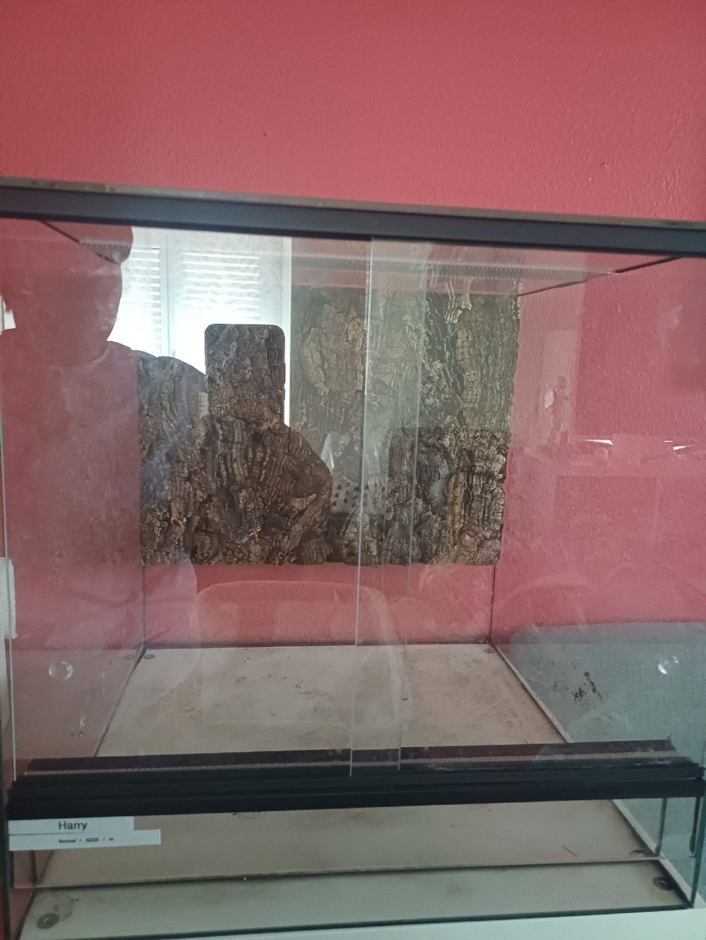 Terrario: Vollglas Terrarium  – Usato da Thalwil venduto da Skorp96
