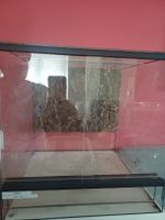 Vollglas Terrarium 