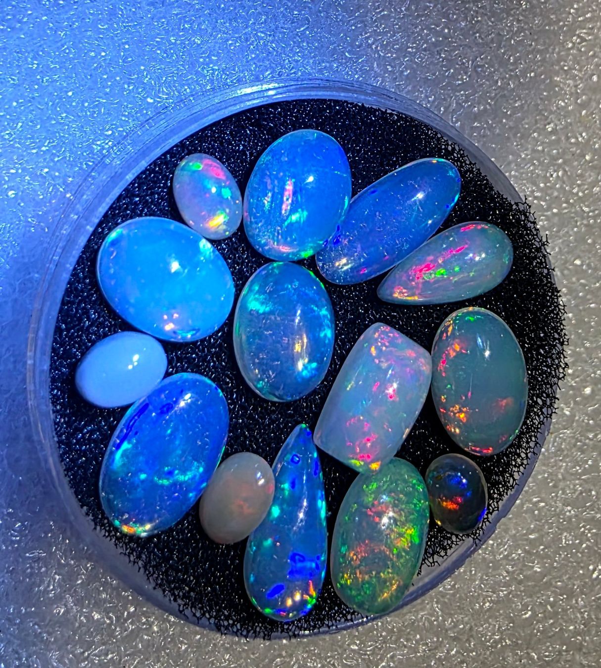 Fossili: 20.0 ct  Lot Welo Opal 14 pièces – Usato da Carouge GE venduto da Crystal_Energy 1