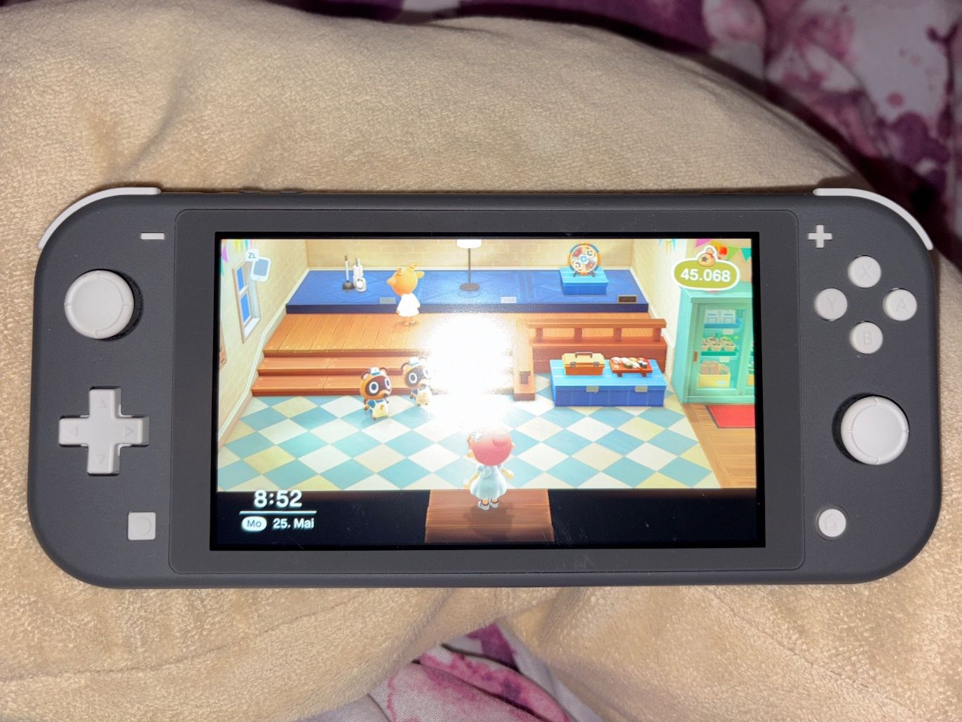 Nintendo Console: Nintendo Switch Lite – Usato da Gipf-Oberfrick venduto da sid_h5fn