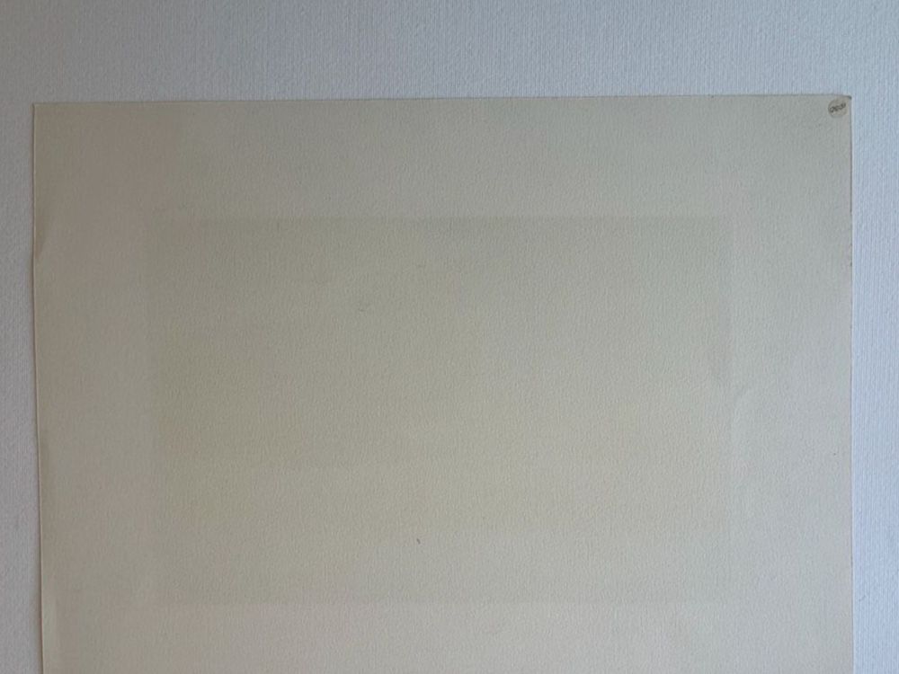 Grafiken & Lithographien: Lithographie Long Distant Flight signée numérotée 2/50 – Gebraucht aus le landeron von cance-lara 6