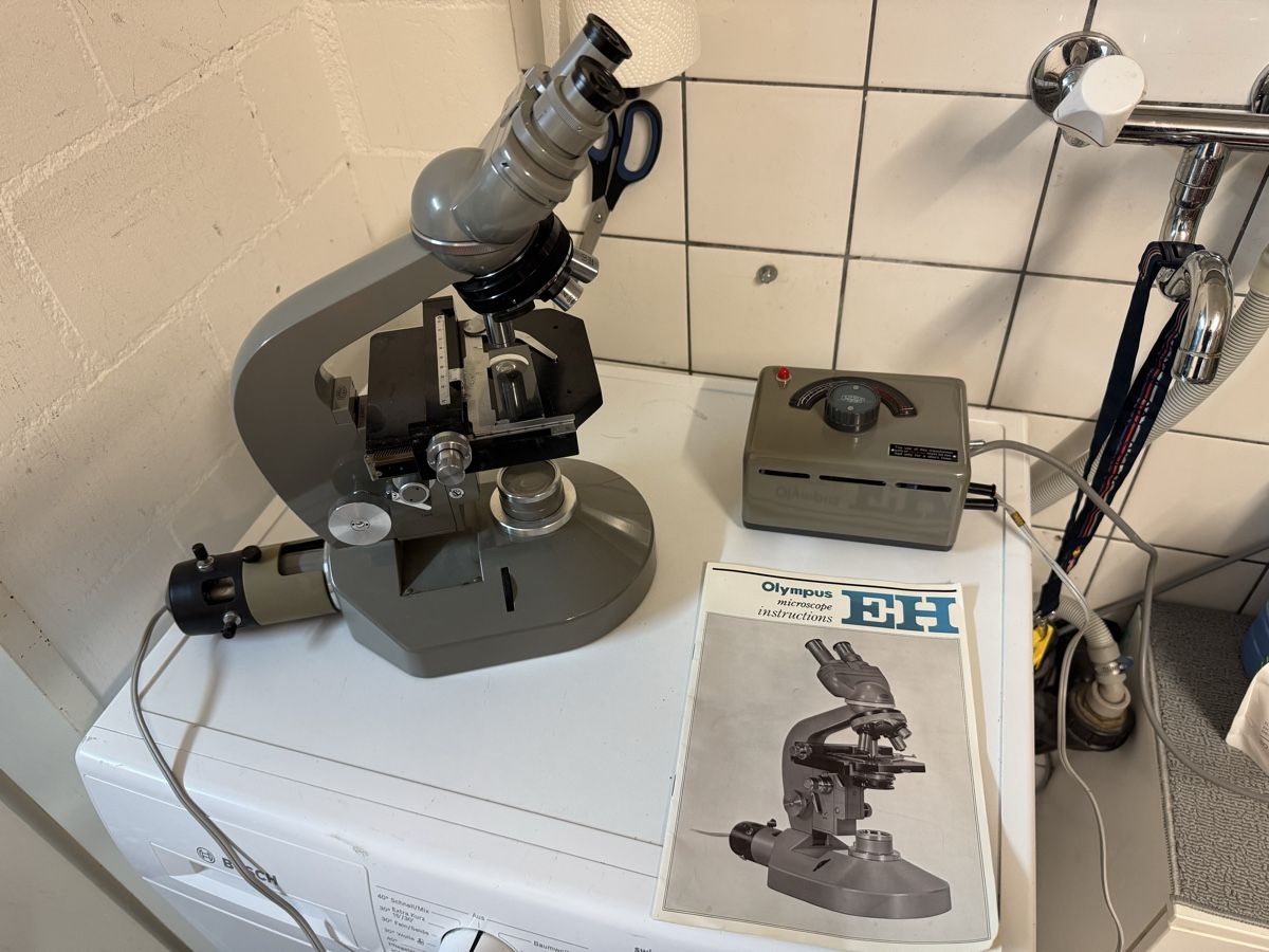 Olympus Microscopi: olympus eh mikroskop – Usato da Zunzgen venduto da milesdavis76