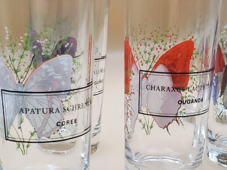 Bicchieri: 7 verres collection papillons du monde – Usato da Rennaz venduto da La_malle_du_dauphin 6