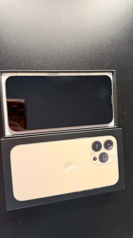 Apple Telefoni cellulari / Smartphones: iPhone 13 Pro 512 GB  Gold – Usato da Männedorf venduto da Jessiey