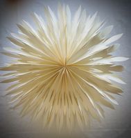 2x Design Papier-Lampenschirm "Tulip" Ø 60 cm – Creme