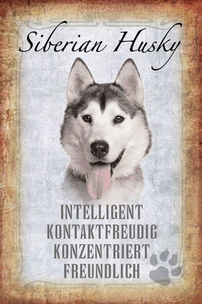 Schilder: Blechschild-STECKBRIEF-SIBERIAN HUSKY HU – Neu und originalverpackt aus Rupperswil von big-one-sale