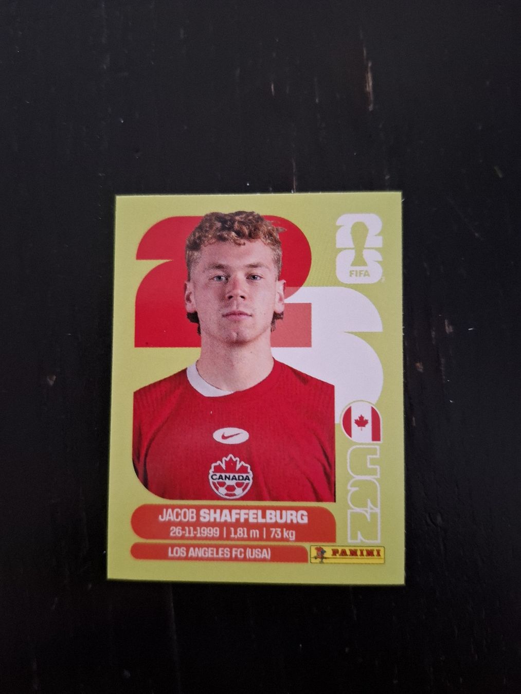 Panini Sammelbilder & Trading cards: panini 2026 can 14 – Neu (gemäss Beschreibung) aus Luterbach von Tex_1366