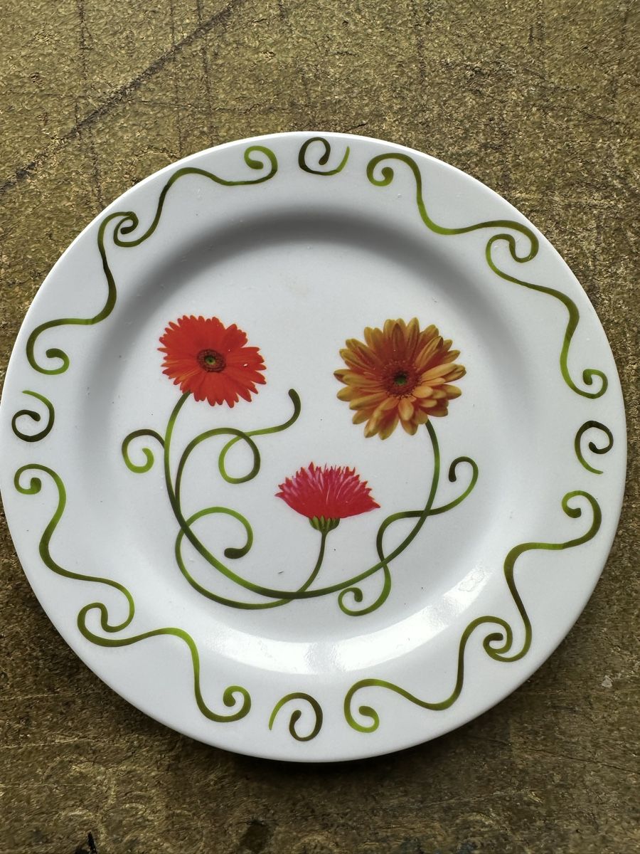 Piatti: 4er Set Kunststoff Dessertteller mit Blumenmuster – Usato da Zollikofen venduto da Taximan89 1