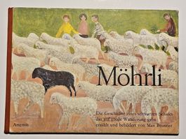 Möhrli - Geschichte eines schwarzen Schafes / #WT18