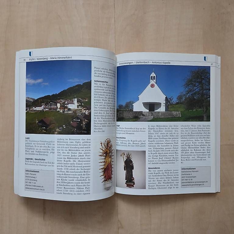 Libri: Wallfahrtsführer der Schweiz – Usato da Zug venduto da Sunshine_113 3