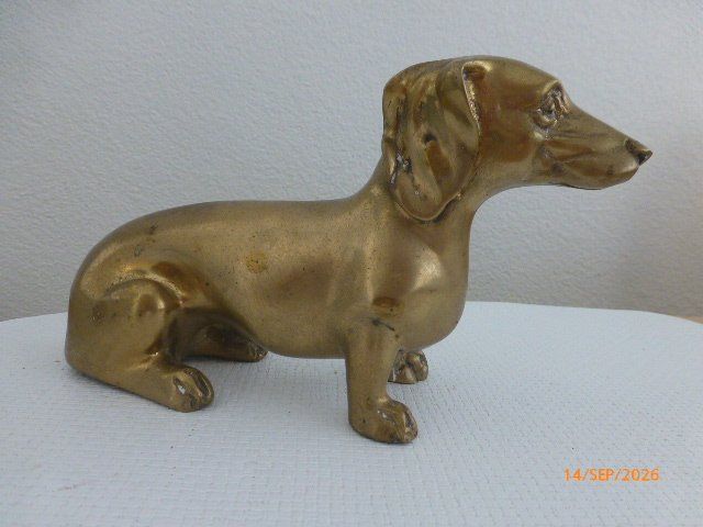 Sculture & Statue: Herziger Dackel aus Bronze. – Usato da Pratteln venduto da Emperial