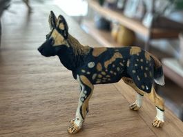 Safari Ltd. Afrikanischer Wildhund Sammelfigur