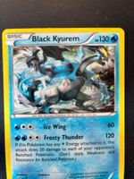 Black Kyurem - Holo - XY160 - Promo - en