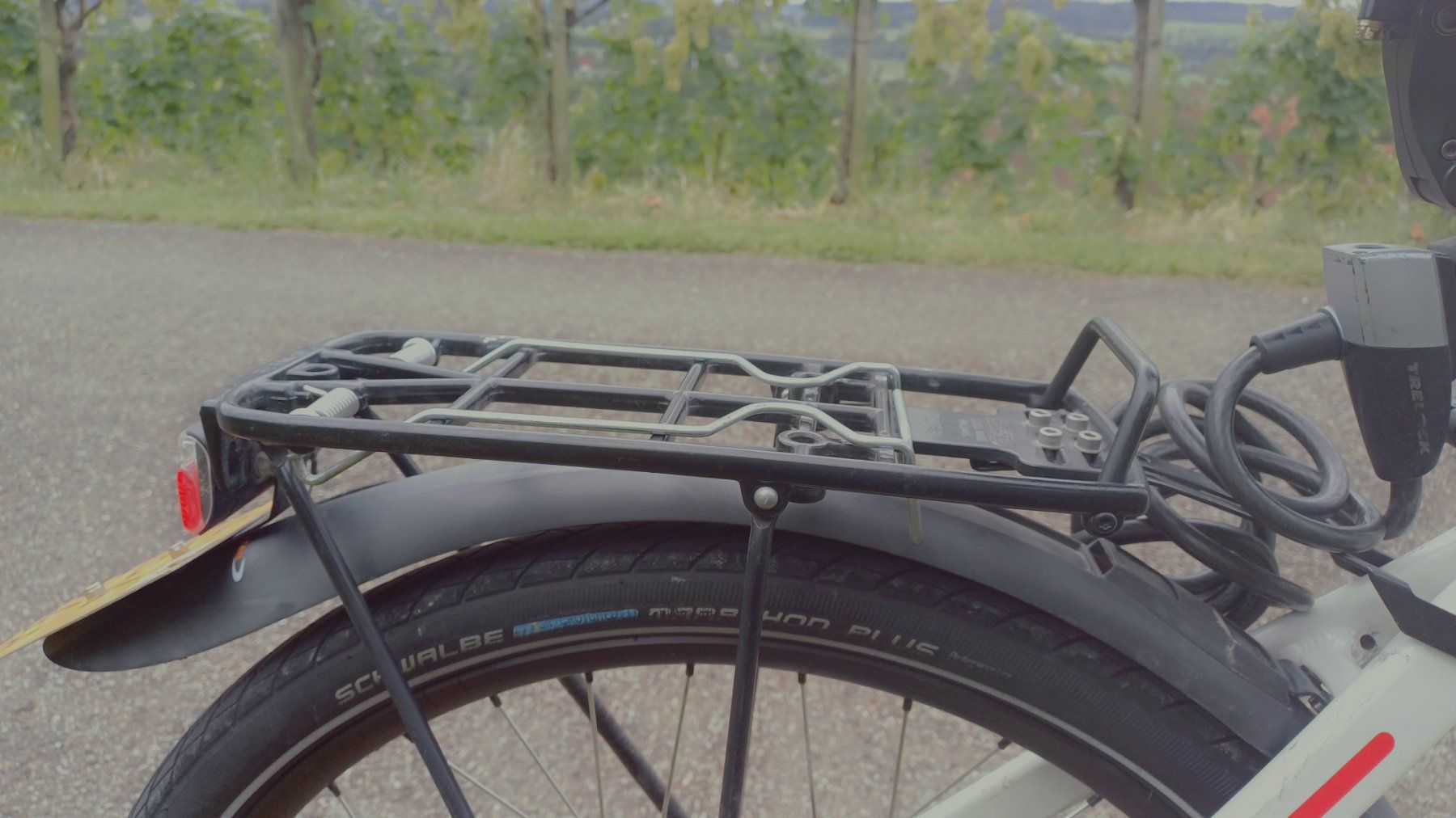 Stromer Biciclette: Stromer ST1 Pedelec, grunderneuert – Usato da Gachnang venduto da Lussli 5