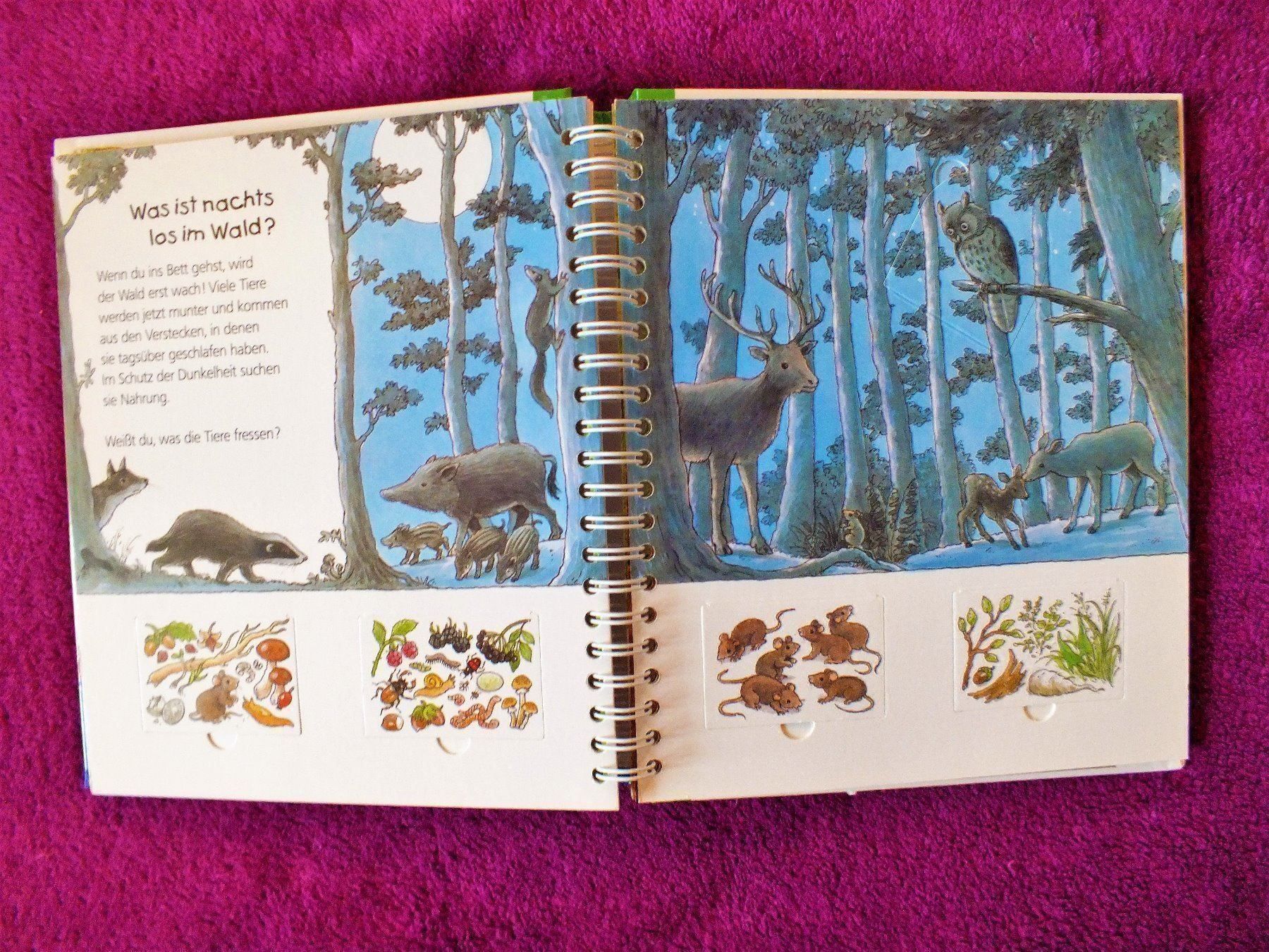 Libri: Wieso Weshalb Warum Junior Buch - Der Wald – Usato da Müllheim Dorf venduto da Seeeule01 4